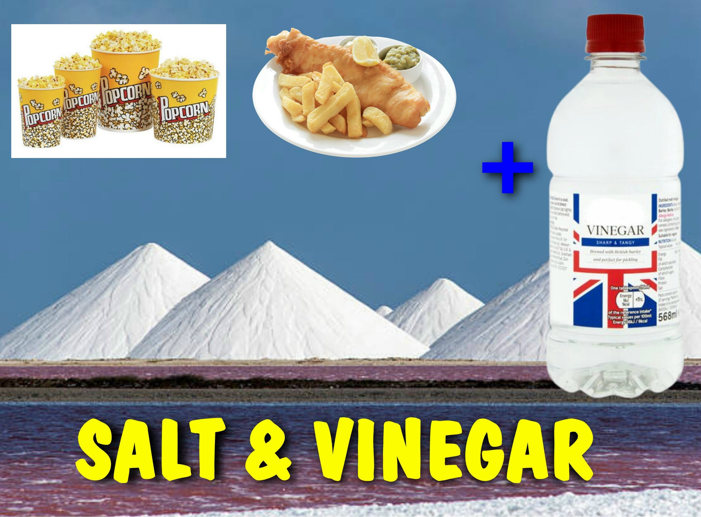 Salt N Vinegar Seasoning 9.5kg Bulk Includes Free Delivery