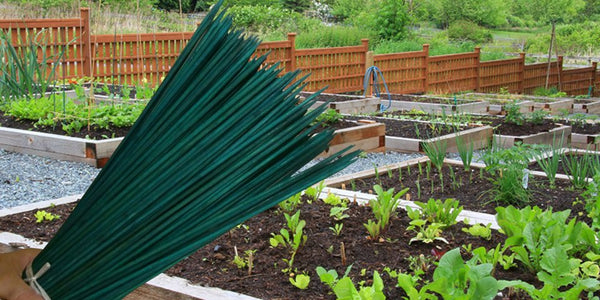 Garden Stakes Bamboo Wood Wax Coated