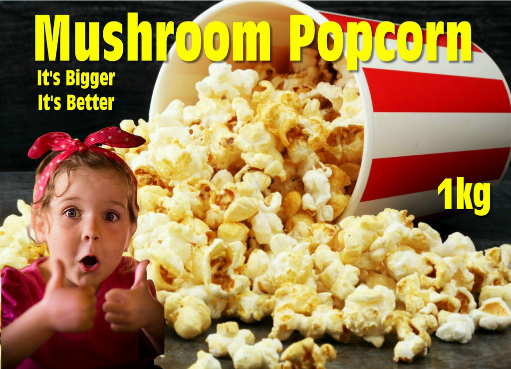Bulk Popcorn 1kg & 3kg