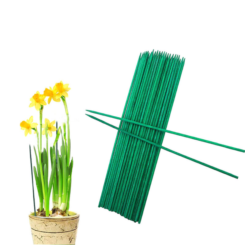 Garden skewers 500mm x 5mm Bamboo Seedling Sticks Stakes Green Waxed 500 Pieces