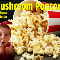 5kg Bulk Popcorn Free 120g Cinema Salt Just like the Cinema